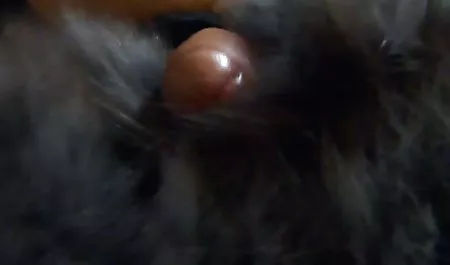 برادر و خواهر و کانال سکس30 نوازش کردن هر یک از دیگر