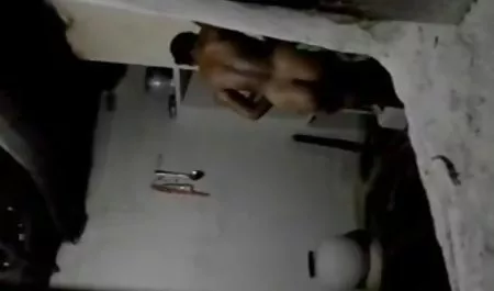 گام به مادر کانال سک30 تلگرام با استفاده از